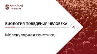 Биология поведения человека Лекция #4. Молекулярная генетика I Роберт Сапольски 2010. Стэнфорд