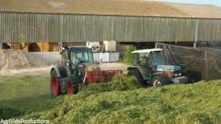 Silage 2013. Taster - Mad For Grass