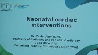 Neonatal Cardiac intervention Prof Rasha Ammar