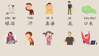 学中文 生理现象 Physiological phenomenon in Chinese Chinese learning Cards 汉语教学词卡 Mr Sun Mandarin