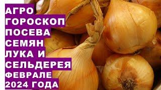 Агрогороскоп посева семян лука и корневого сельдерея на рассаду в феврале 2024 года