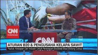 Aturan B-20 & Pengusaha Kelapa Sawit  The Analyst