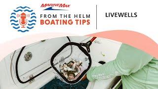 All About Livewells  Boating Tips