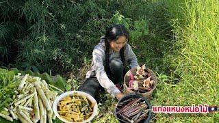 แกงแหนงหน่อไม้ใส่เห็ดปลวก Bamboo shoots soup with termite mushrooms.