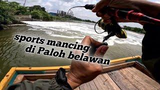 sport mancing di Paloh Belawan yang paling favorit  #sportpalobelawan #mancingbelawan #fishing