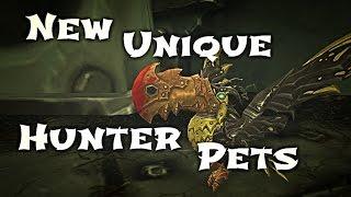 WoW Guide - Unique Hunter Pets