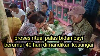 Ritual adat dayakprosesi acara palas bidanbayi berusia 40 hari dibawa mandi ke sungai