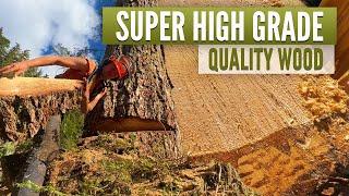 Super High Grade Quality wood 