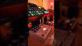 I’m a sucker #digitone #digitakt #elektron #shorts