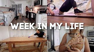 VLOG my manager comes to visit staining the dining room table & come to pilates with me 