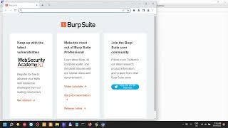 Burp Suite - Part 6 - Advanced Scoping