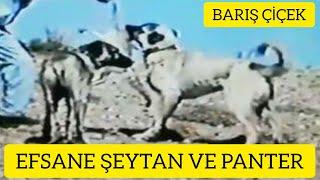 EFSANE Şeytan Ve Panter Yıl 1994 Barış Çiçek