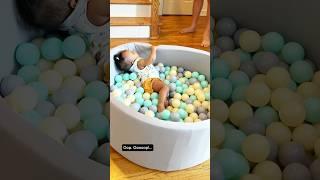 Bella’s personal ball pit ‍️ Brought to you by Gigi #baby #atl #toys
