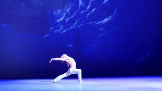 Daniil Simkin-Le Corsaire Variation