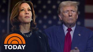 Harris polls better than Trump in key battlegrounds within margin