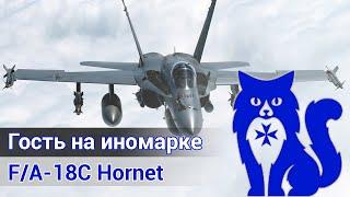 FA-18C Hornet - Гость на иномарке DCS World Stream  WaffenCat