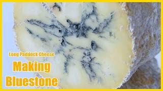 Making Bluestone at Long Paddock Cheese