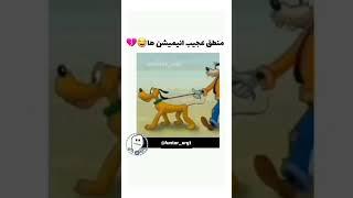 عجیب ترین انيميشن هالایک سیو کن️️