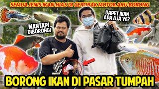 BORONG SEMUA JENIS IKAN DI PASAR TUMPAH BELAKANG RUMAH SEGEROBAK MOTOR AKU BELI DAPET APA AJA YA?