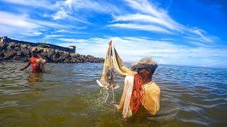 Amazing Cast Net Fishing