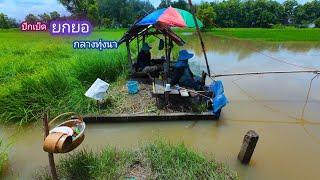 ปักเบ็ด ยกยอ กลางทุ่งนา ฝนตกหนักน้ำเริ่มสูง ปลาเริ่มเข้า  บ้านนอก EP.784