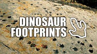 How Do Dinosaur Footprints Work?