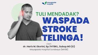 STROKE TELINGA PENYEBAB GEJALA DAN CARA MENGATASINYA