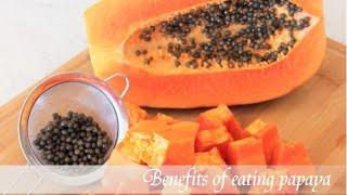 Drop 5Lb A Week With This Papaya Shake  Recipe For Weight Loss