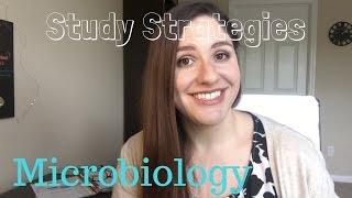 Study Strategies  How I study for exams Microbiology edition