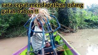 cara memilih spot mancing yang dihuni udang galah babon spot terbaik mancing udang galah babon