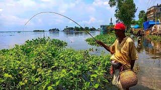 গাজনার বিলে কই মাছ ধরা  fishing video  #fishing #hookfishing  #fishingvideo #reel #মাছধরা