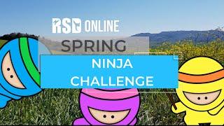 Spring Ninja Challenge - Virtual Fitness Activity Get Active Games