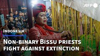 Indonesias all-gendered priests on verge of extinction  AFP