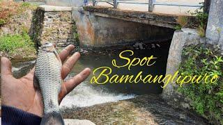 MANCING WADER JOGJA Spot Bantul Bambanglipuro part 2