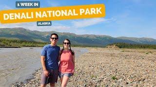 1 week in Denali National Park in Alaska