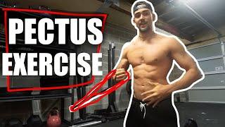 AMAZING EXERCISE TO BUILD YOUR OBLIQUES & INNER CHEST AT THE SAME TIME THE PALLOF PRESS