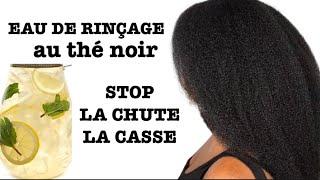 CHEVEUX SECS TERNES  Soin au THÉ NOIR  EAU de RINÇAGE