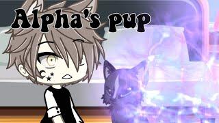 Alphas pup Full EpisodeGacha Life  Read desc 