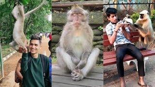 Monkey Funny TikTok video  It will make you laugh 