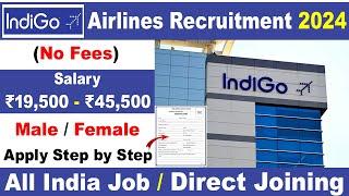 Indigo Airlines Job Vacancies 2024  Airport Job Vacancy  Indigo Hiring  Private Job Vacancy 2024