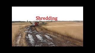 De Vries Cornjum BV  Wetland Machinery  Wetland Forage Harvester