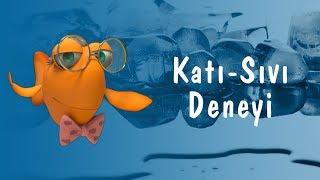 Profesör Balık ile Deneyler Katı-Sıvı Deneyi