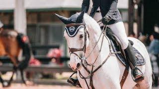 Symphony  Equestrian Music Video