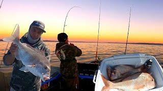 A fun solo - baitn berley bash and a bit of softbaiting on a west coast Harbour.