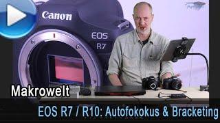 Canon EOS R7 und R10 Bildqualität Autofokus und Bracketing