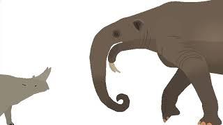 Deinotherium Vs Arsinotherium