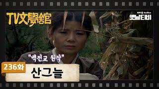 TV문학관 236화 산그늘  19861115