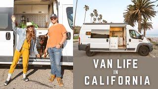 Van Life in California  Big Sur  Flower Fields  Our Dog