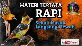 Materi Tertata Rapi Roll Tembak Kasar ️ Sekali Masuk Langsung Mewah