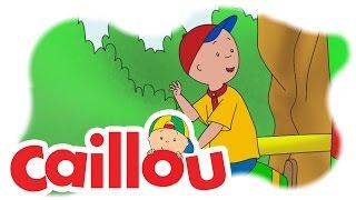 Caillou - Caillous Camel Ride  S05E22  Videos For Kids